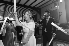 Boda-Mari-Carmen-y-Antonio-1189